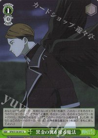 WS 遊戲卡 U