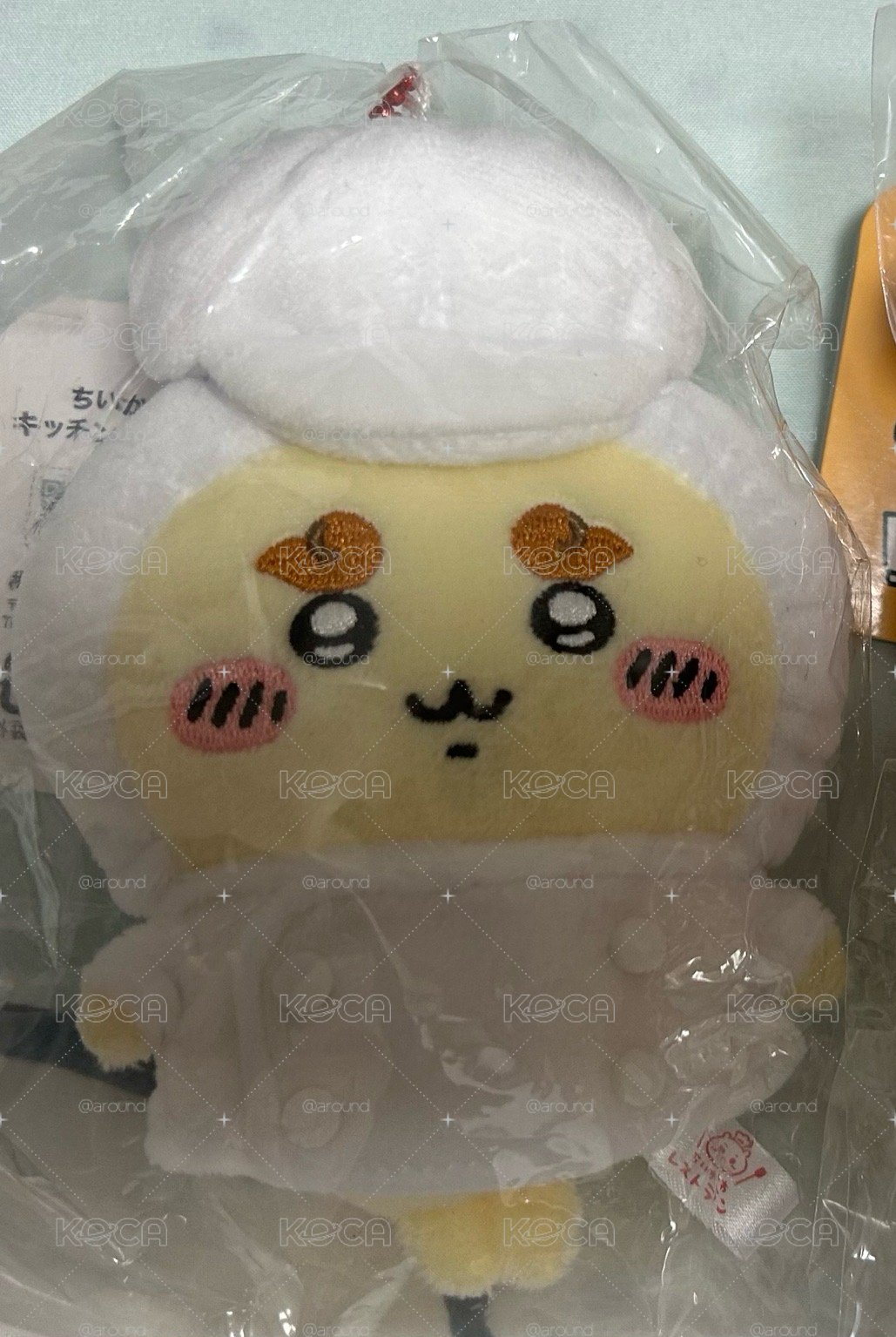 打飯獅薩