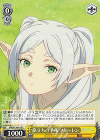 WS 遊戲卡 C