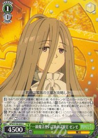 WS 遊戲卡 C