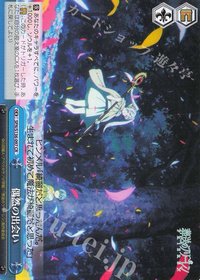 WS 遊戲卡 CR