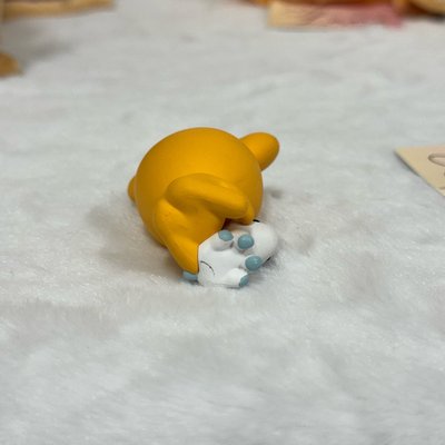 志效