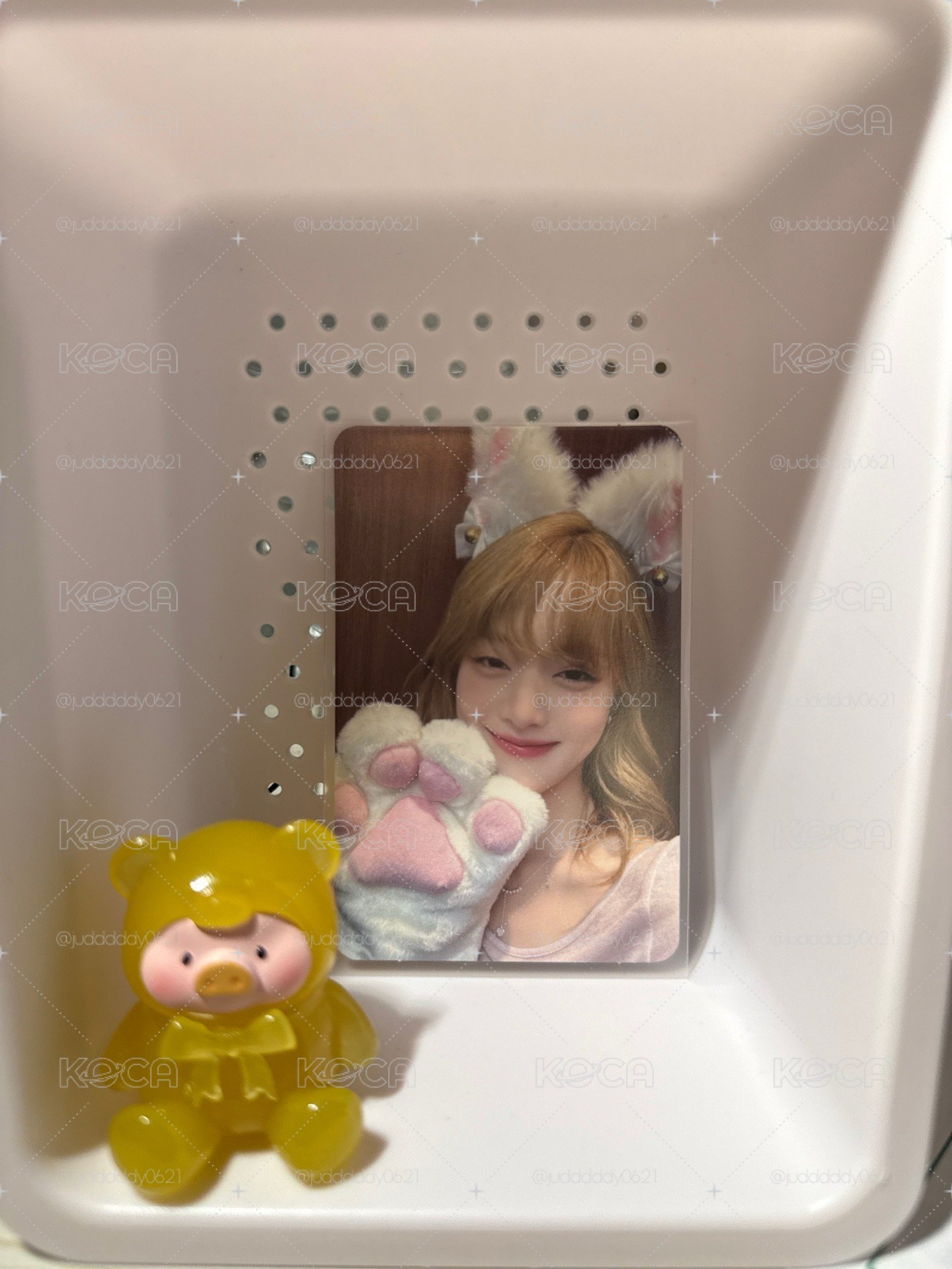 貓爪妮ms簽售卡