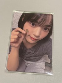 迷二四葉草
