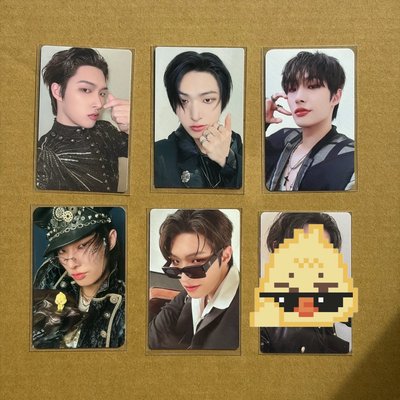 🏴‍☠️🐥💕（限定下單）