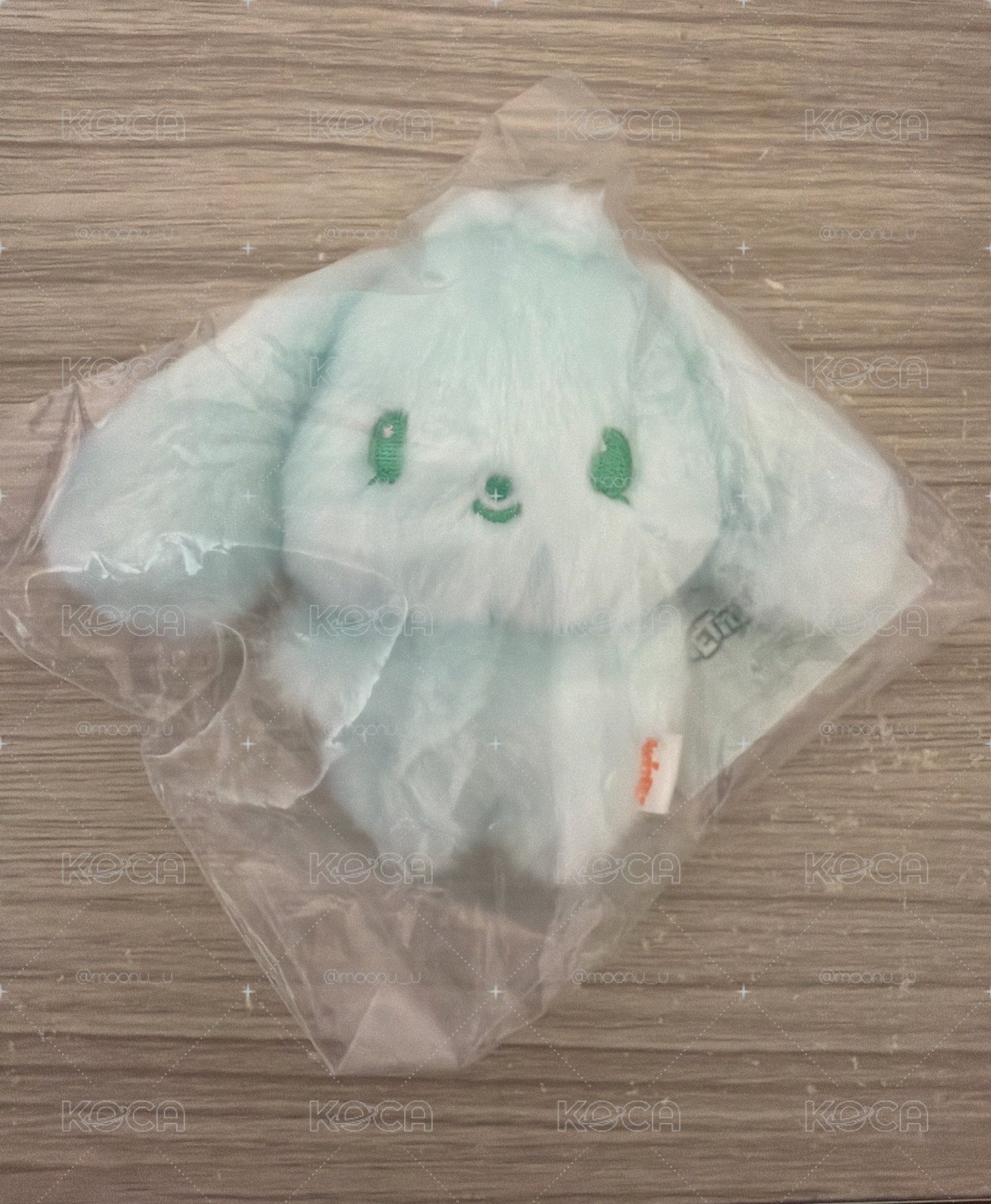 ANITEEZ 異色寶寶娃 呂尚