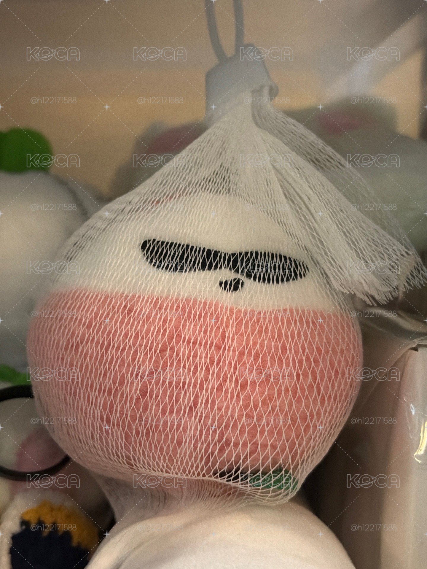 快閃荔枝娃