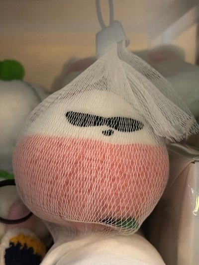 快閃荔枝娃