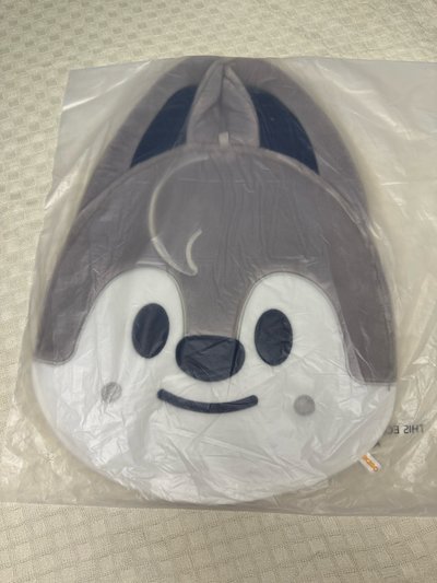 現貨韓版豆豆眼扇套