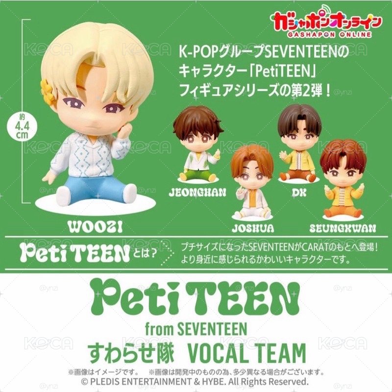 萬代聯名 公仔 PetiTEEN 勳