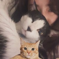 下單前請先看個人簡介