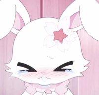 ラビット🐰お嬢様