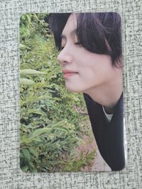 側臉澈
