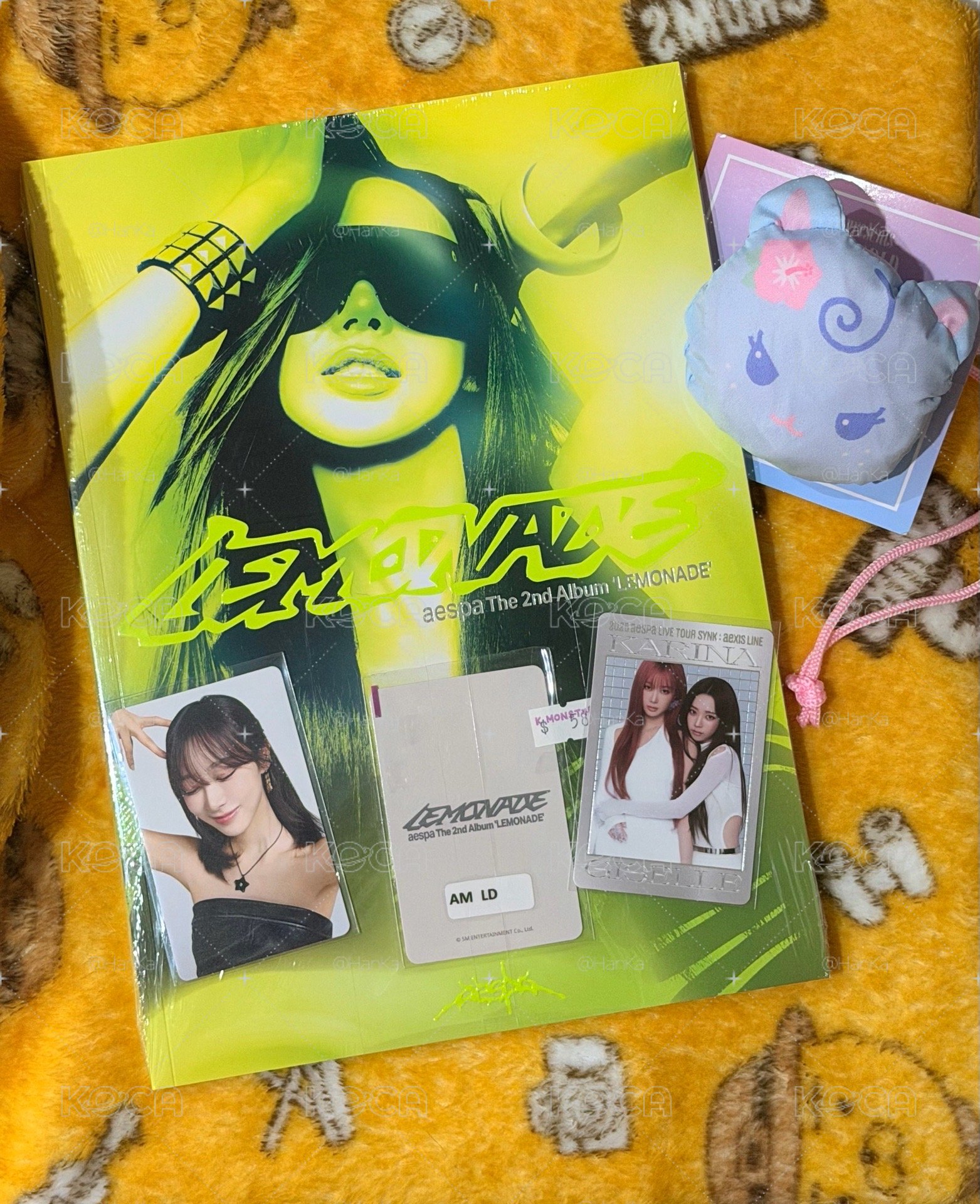 姐賴小組合