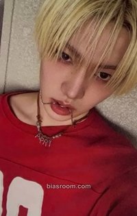 單曲一輯 專輯卡 