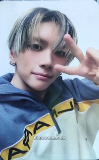 單曲一輯 專輯卡 