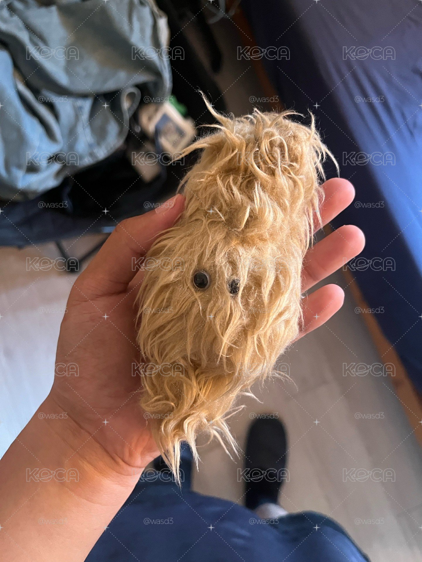 現貨 單水母