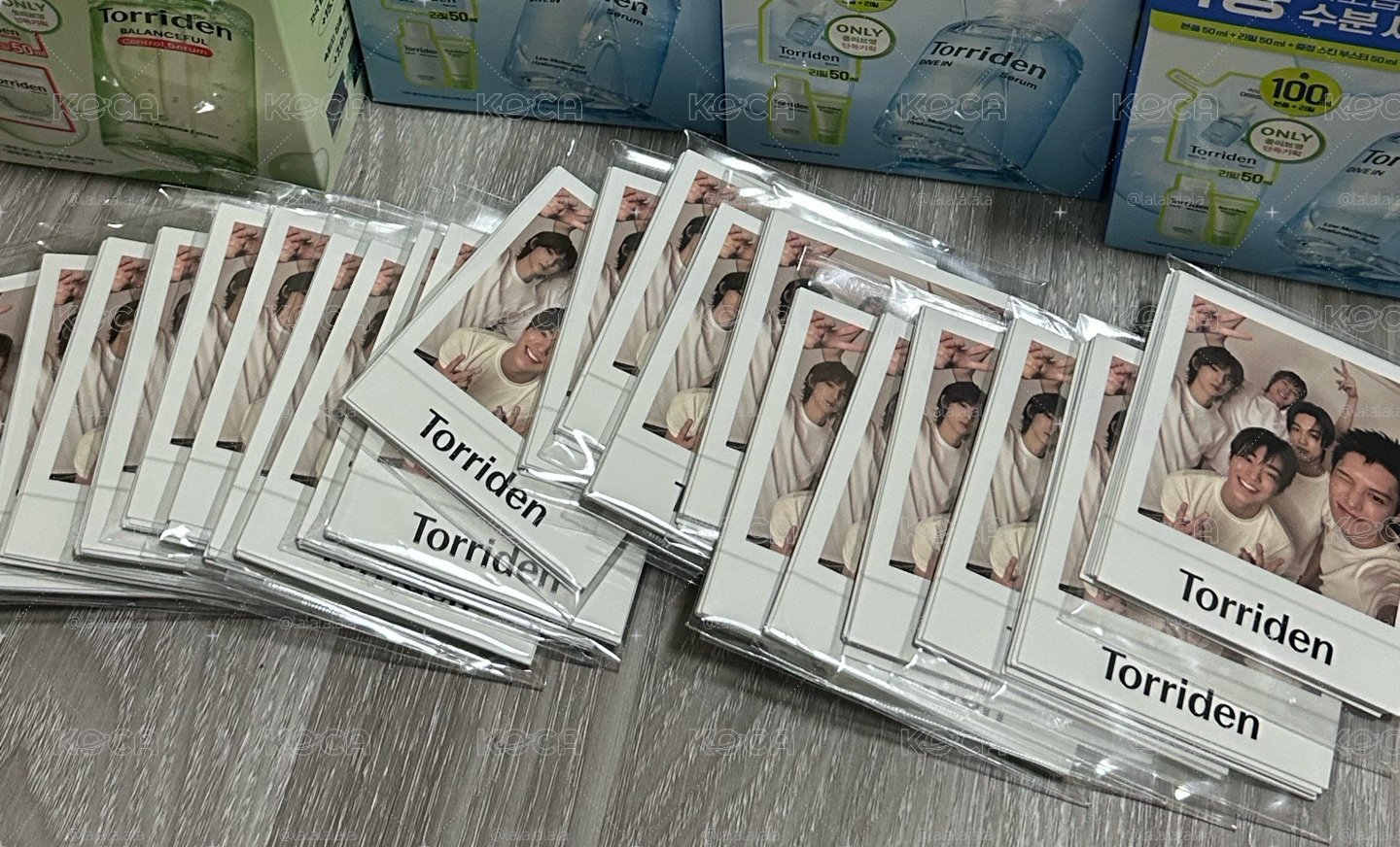 Torriden 小卡組