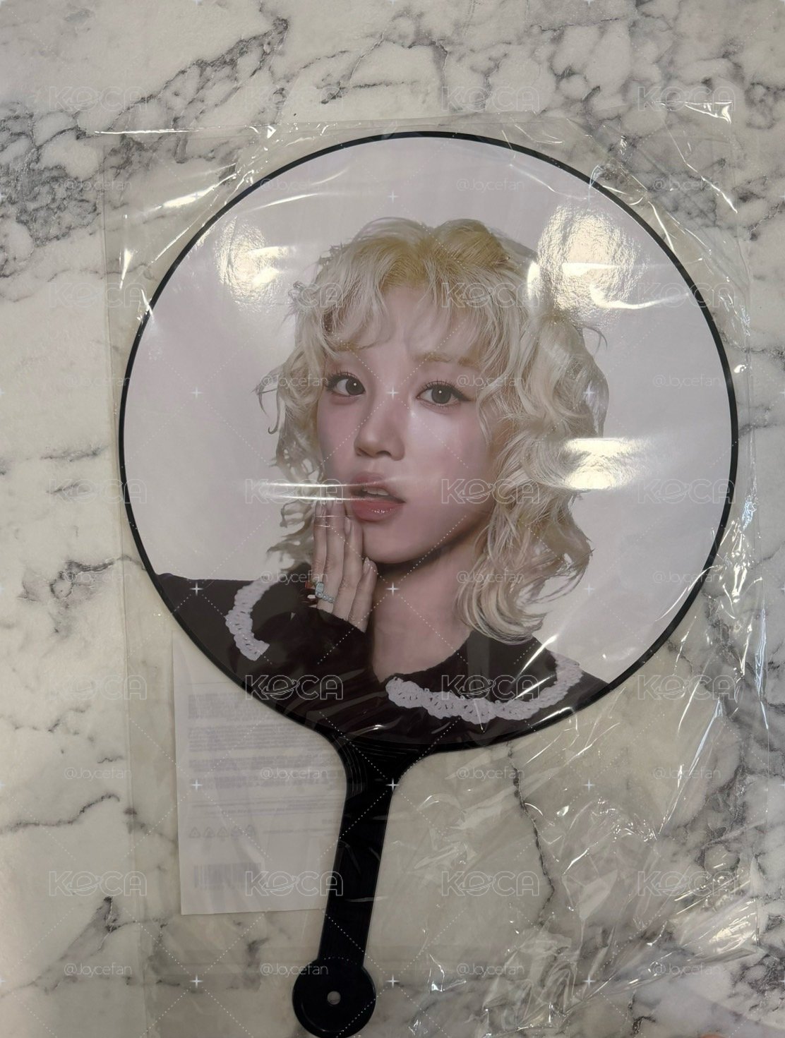 琦 展覽 大王扇