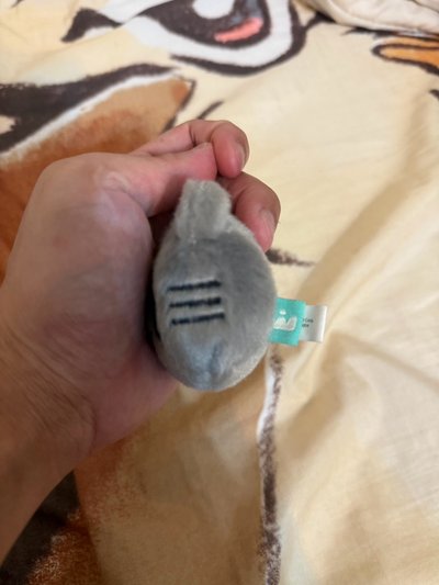 大狗娘原皮大頭