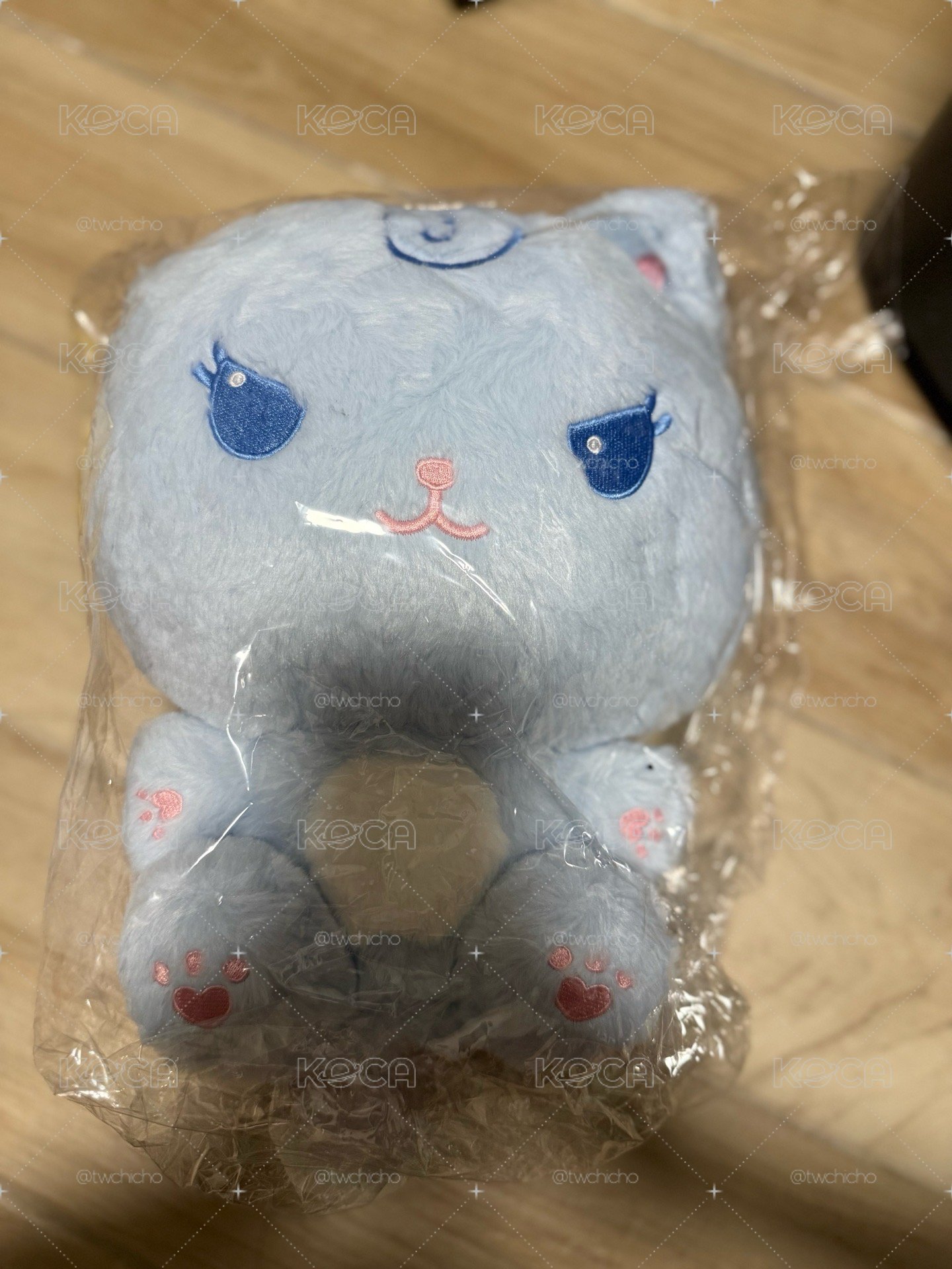 aespa 二巡安可 周邊 30cm 大娃