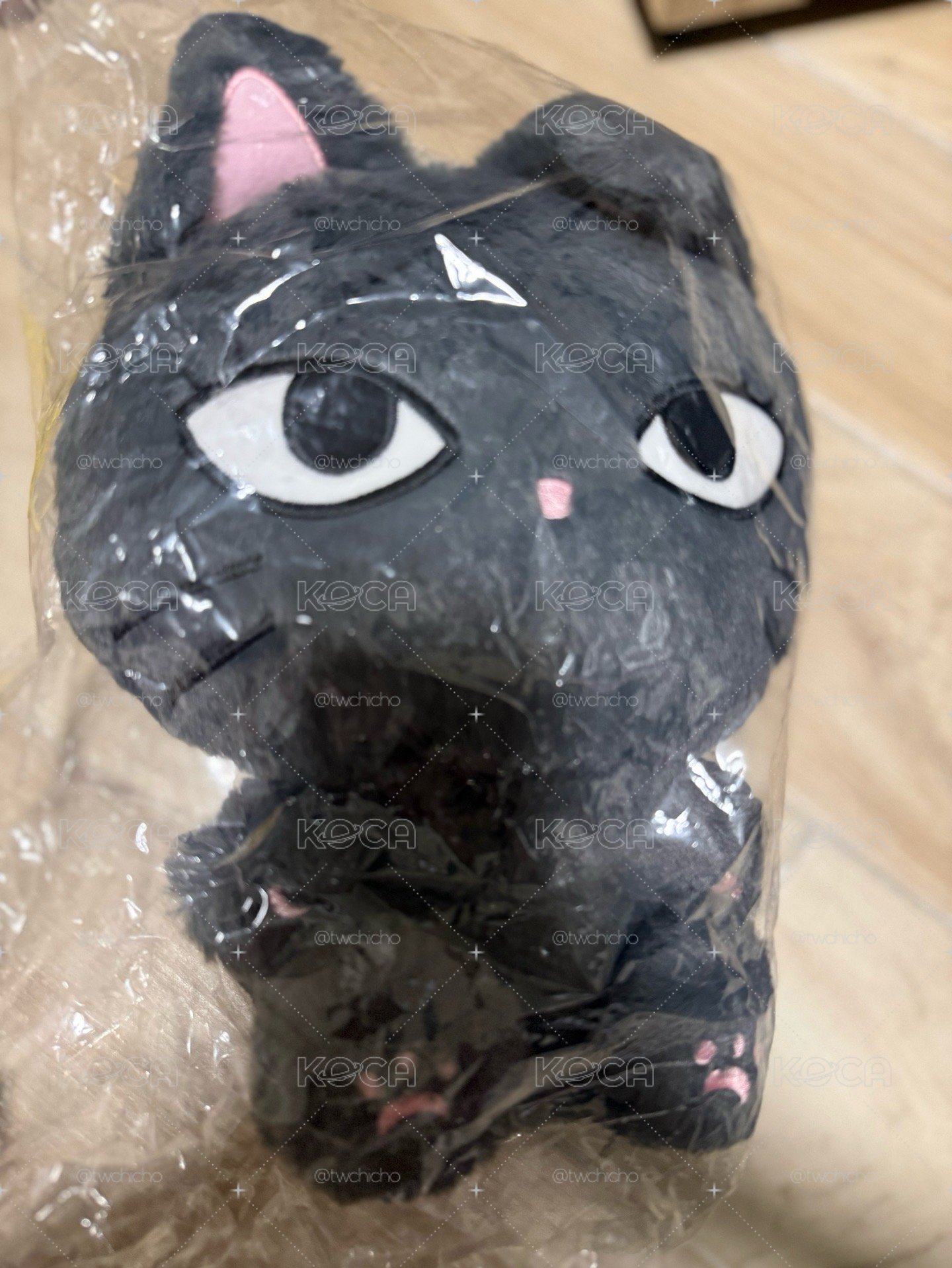 aespa 二巡安可 周邊 30cm 大娃