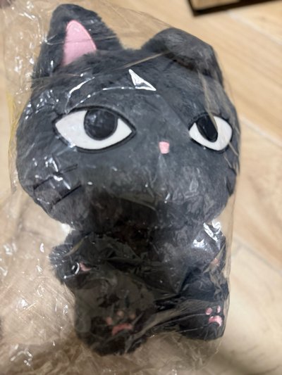 aespa 二巡安可 周邊 30cm 大娃