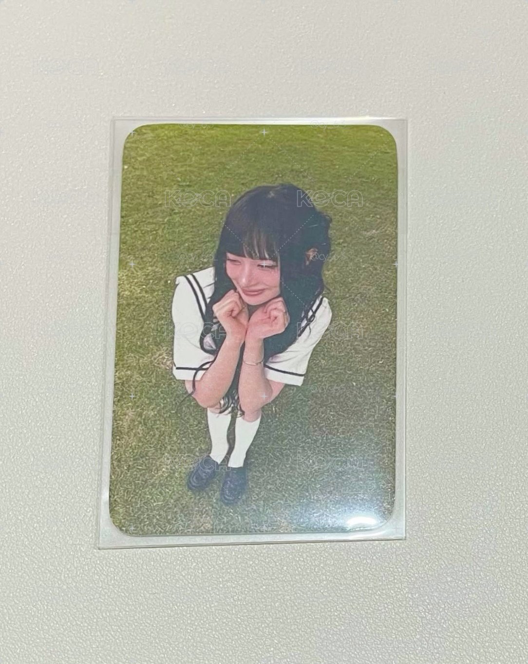 柳多戀 草地小卡