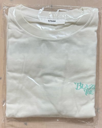 BTW 周邊短袖白T恤 M（Type B）