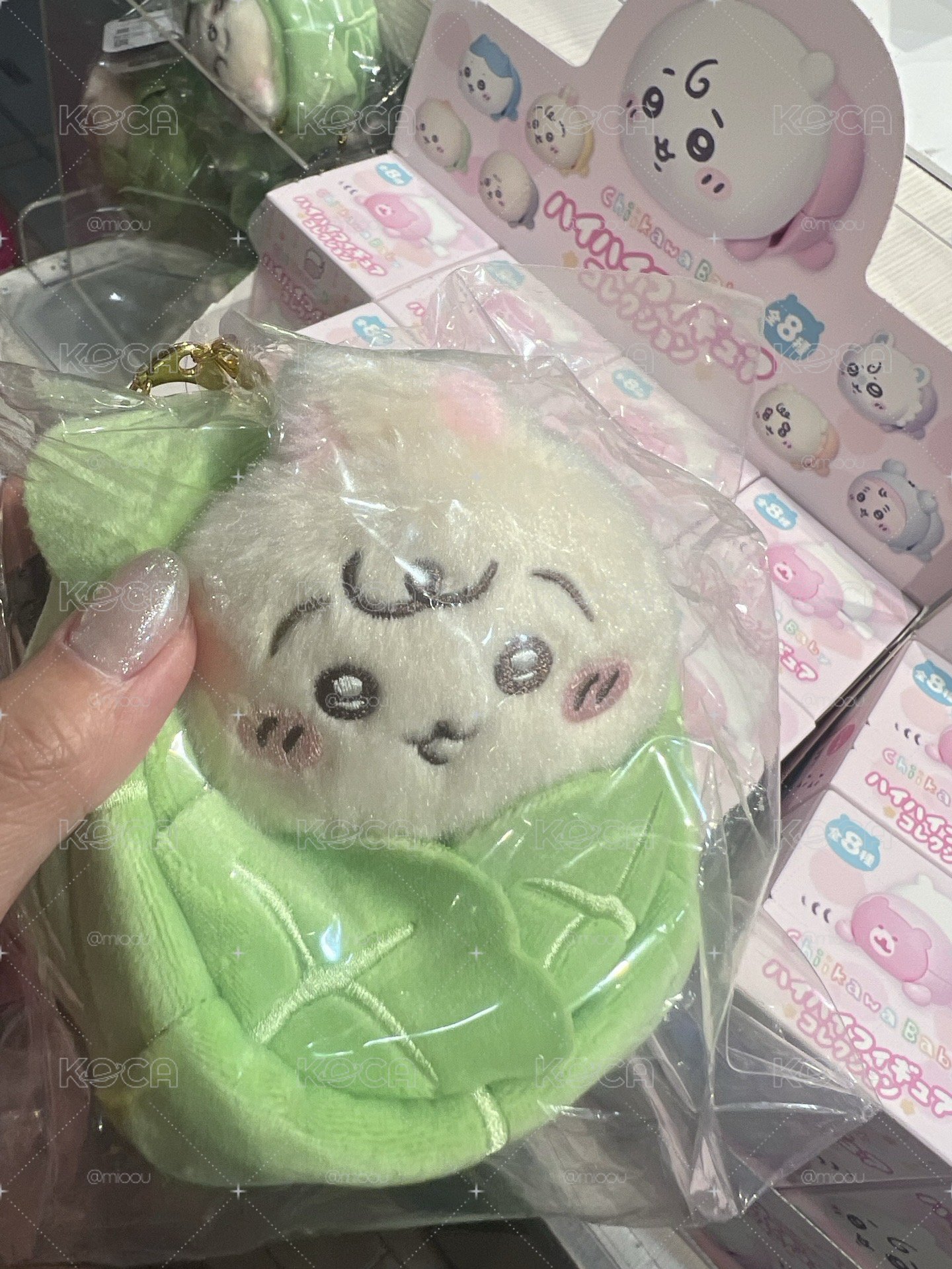 高麗菜兔兔