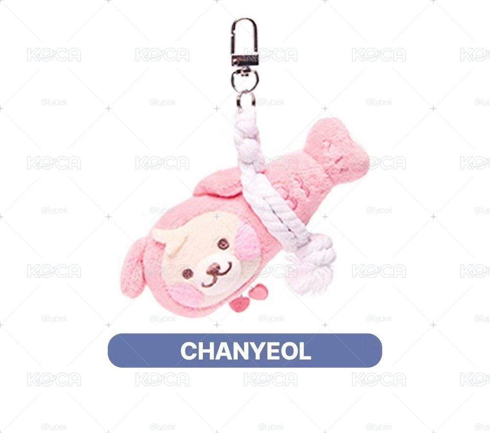 EXO WeAreDoll快速團