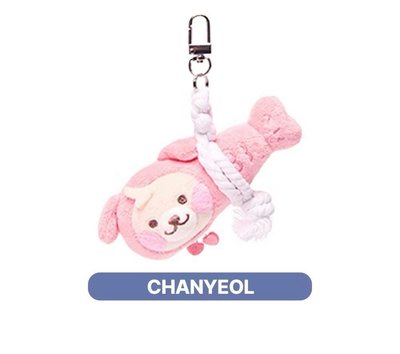 EXO WeAreDoll快速團