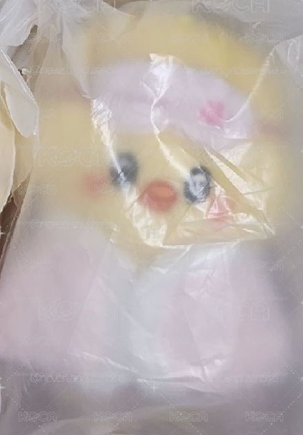 眼罩菲娃