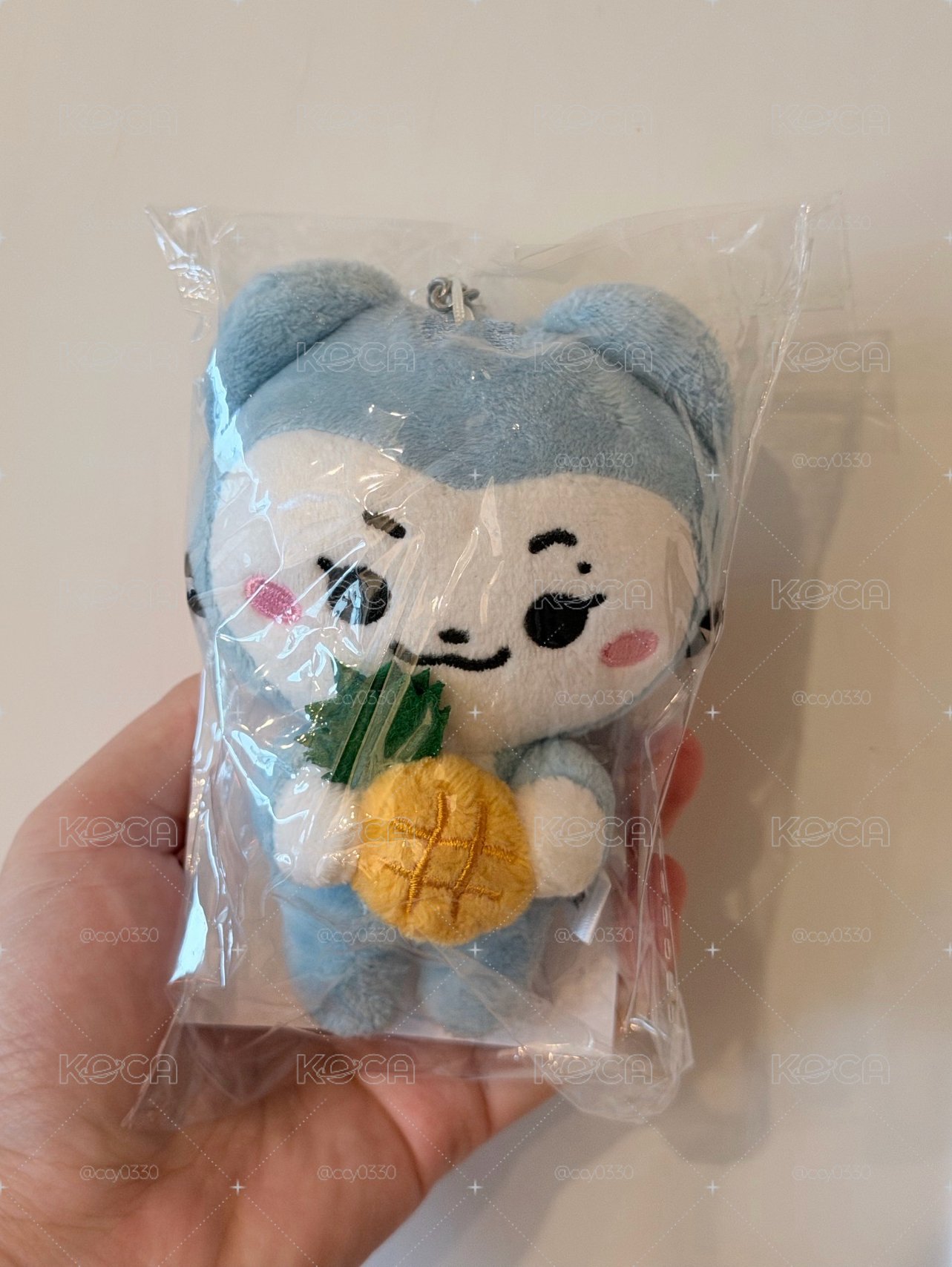 申留真水果娃娃Ryujji