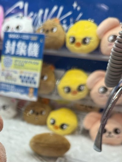 一些日本SKZOO