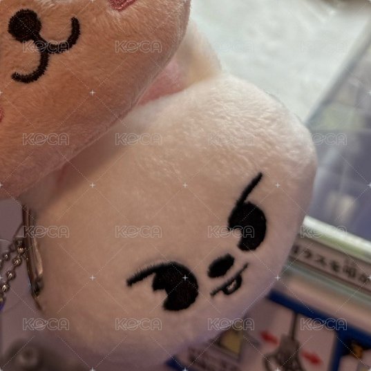 錢包🐰