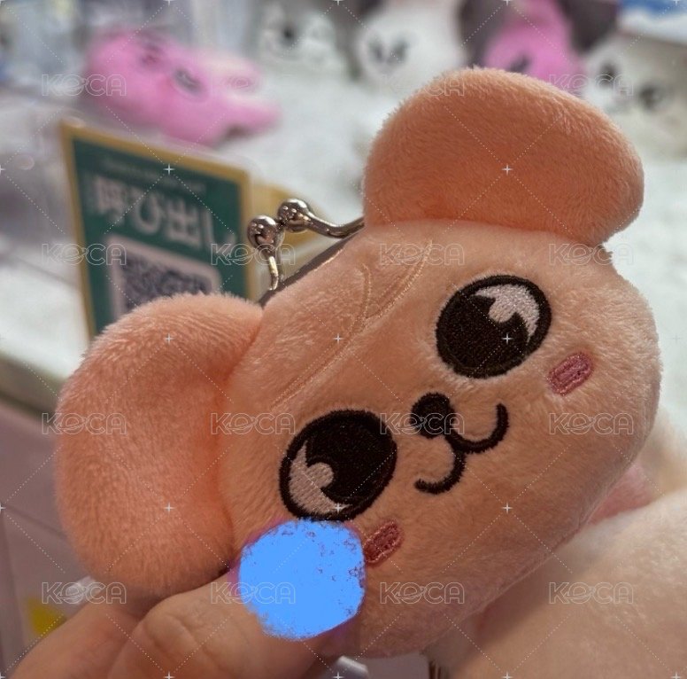 錢包🐶