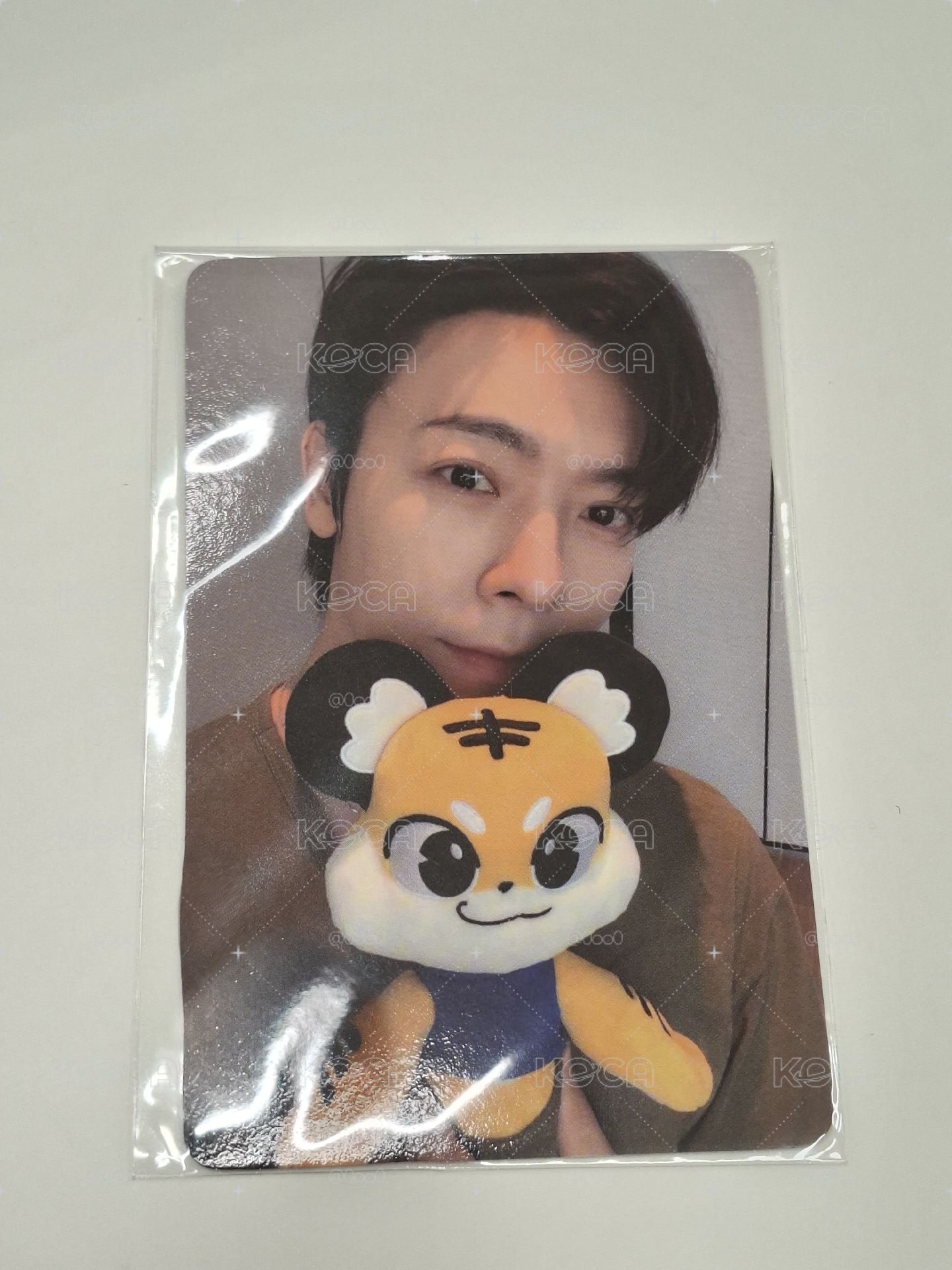 東海🐯手燈套卡