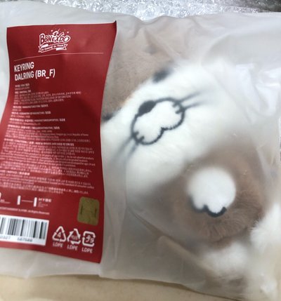 （現貨）全新未拆二代娃 Dalring/woonbaby