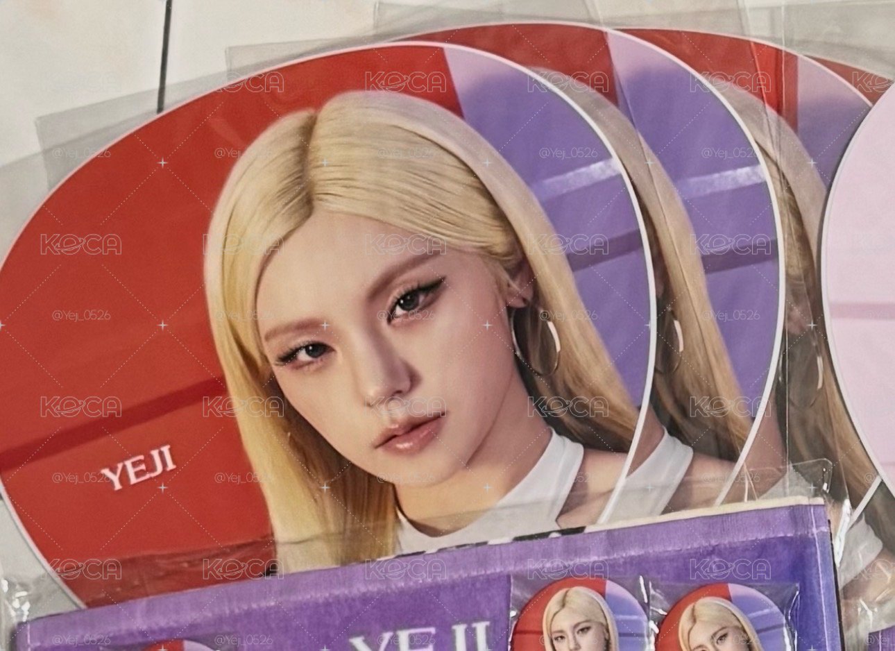 志大王扇子 🈶2️⃣