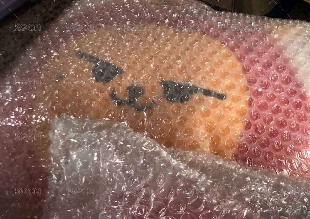 抱枕/春