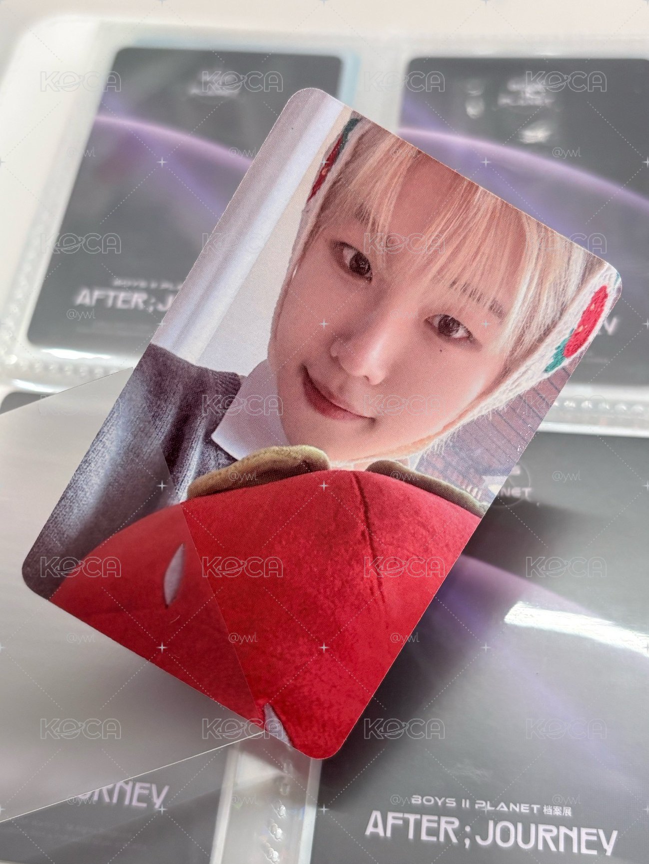 草莓頭套🤗