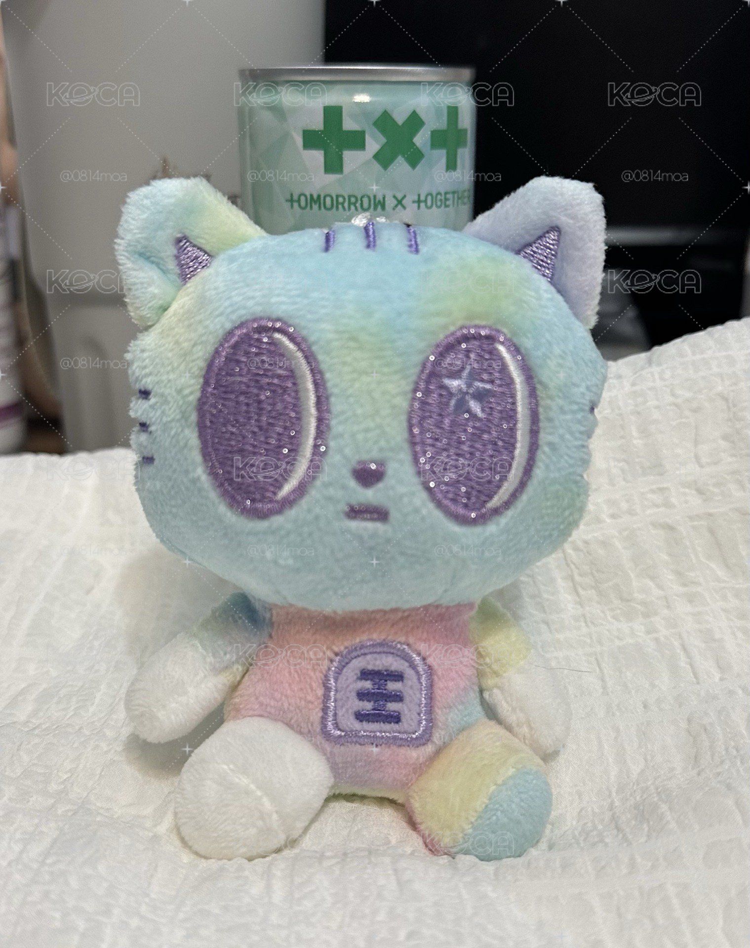 藍顏彩喵本體「800」🐱