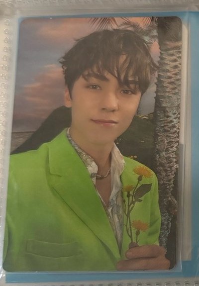 Seventeen 崔瀚率 sector 17