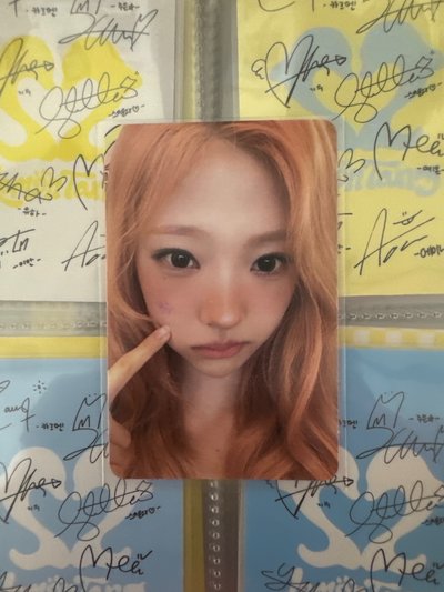 Sun版Stella專卡