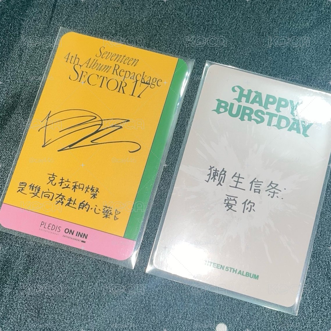 燦中背