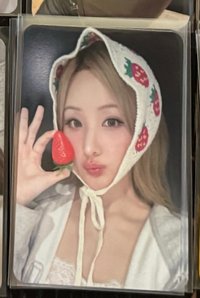 草莓B