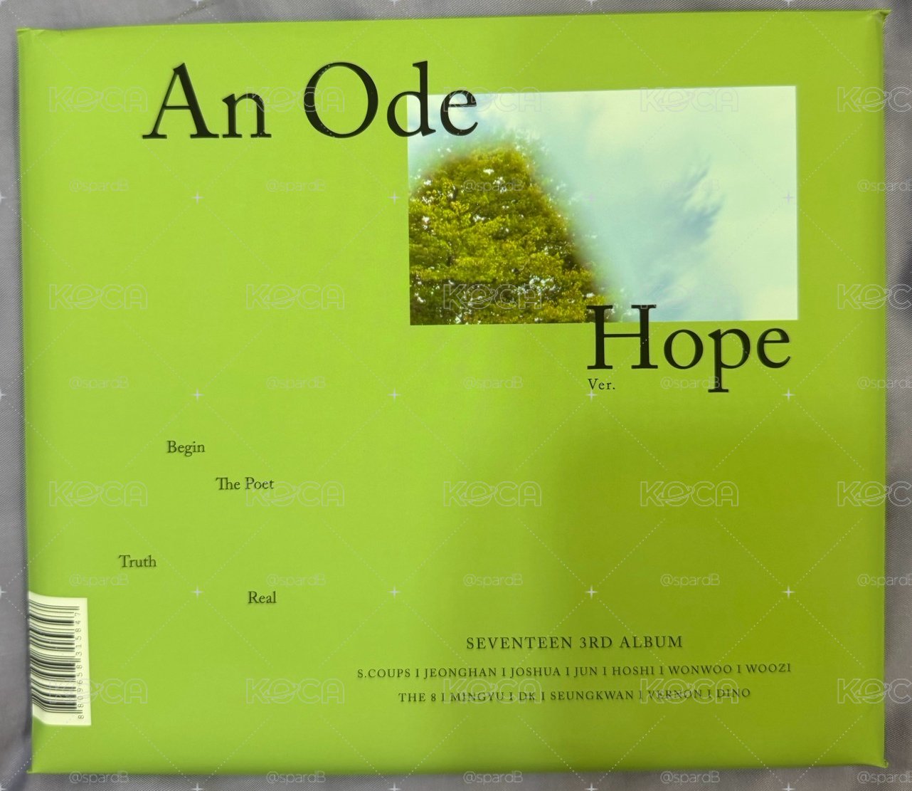 Seventeen an ode 空專 文俊輝