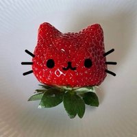 딸기