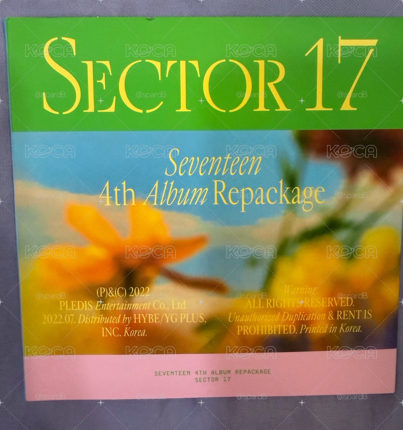 Seventeen sector 17空專